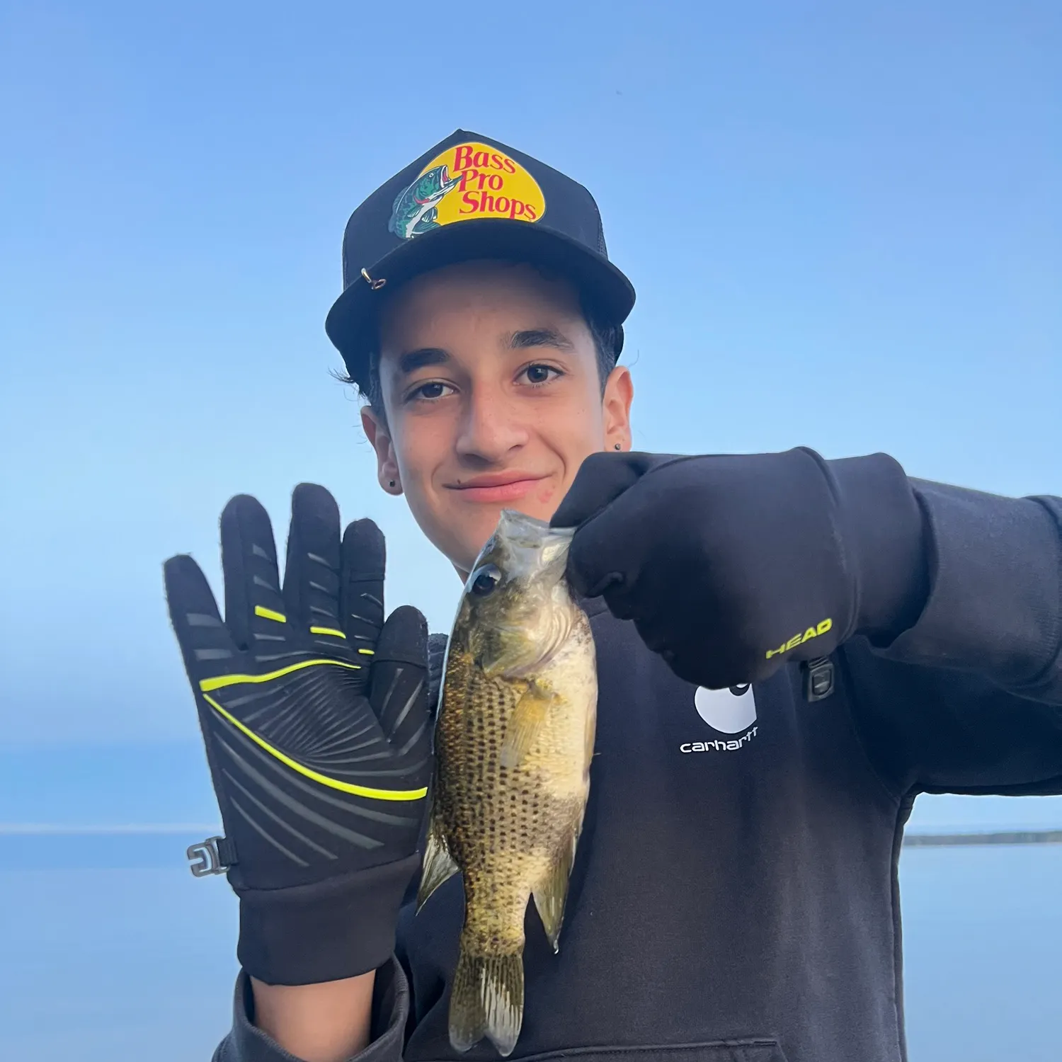 Rock bass caught on Fishbrain