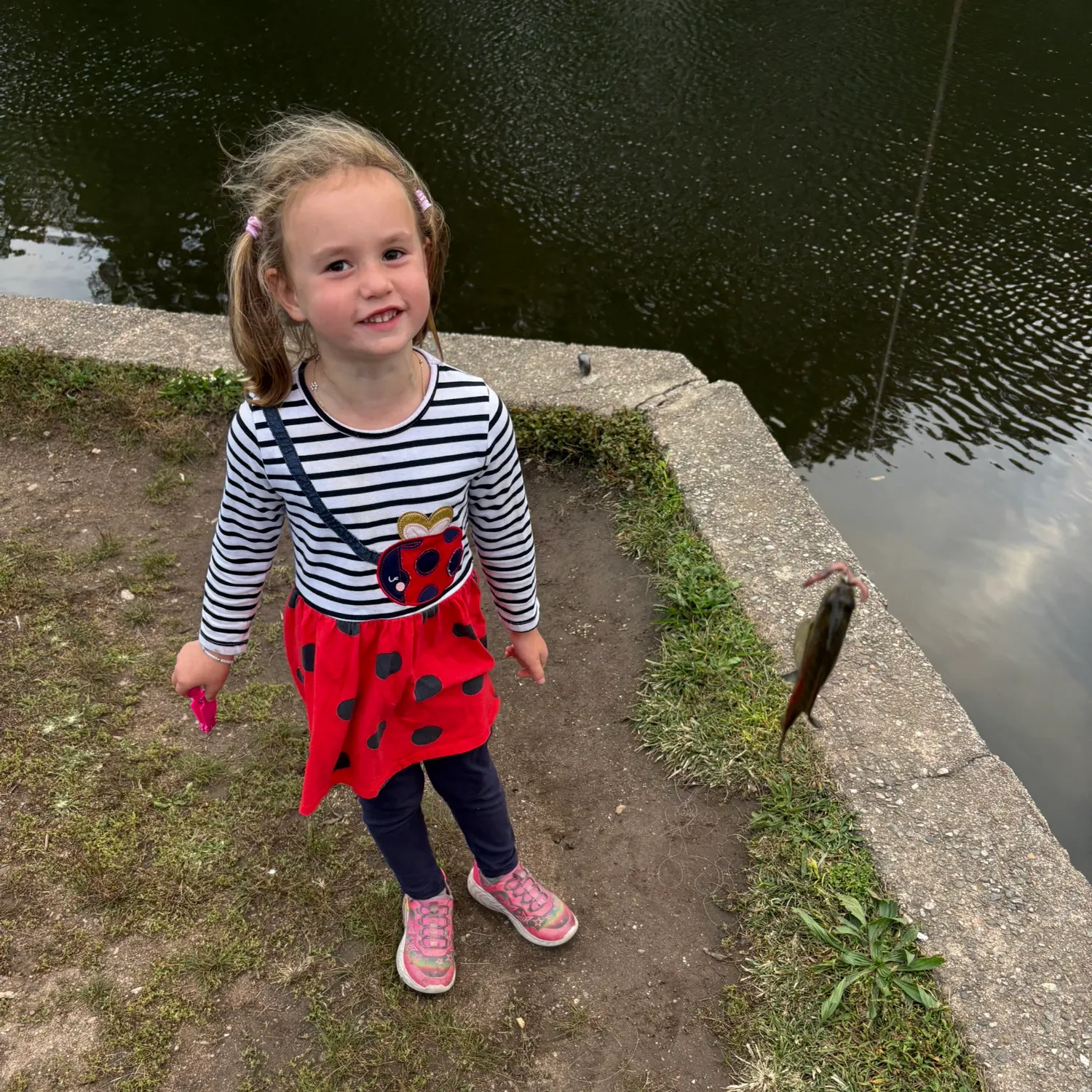 Smallmouth bass caught on Fishbrain