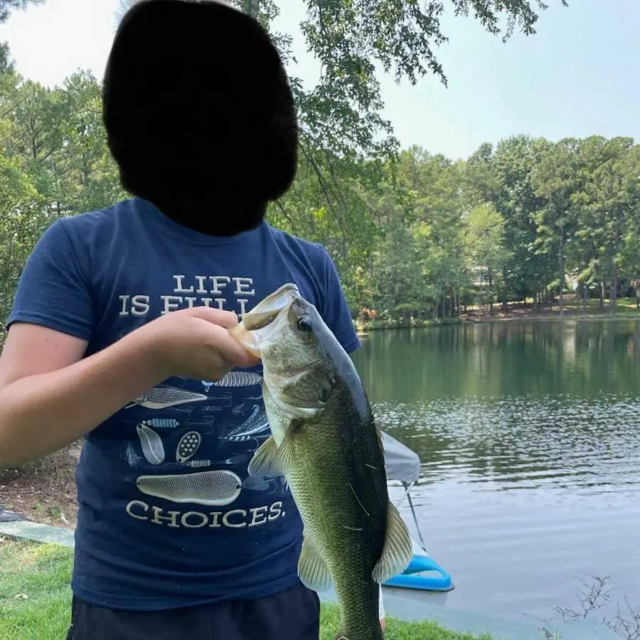 Largemouth bass caught on Fishbrain
