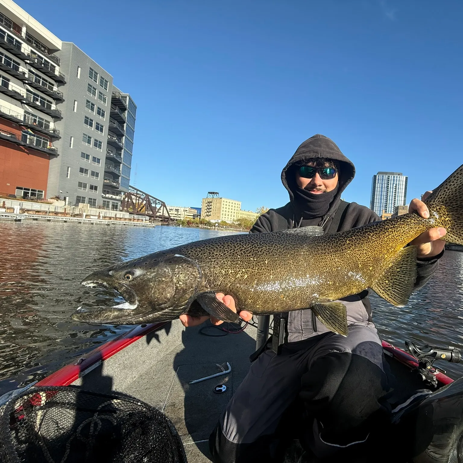 The most recent Chinook salmon catches on Fishbrain