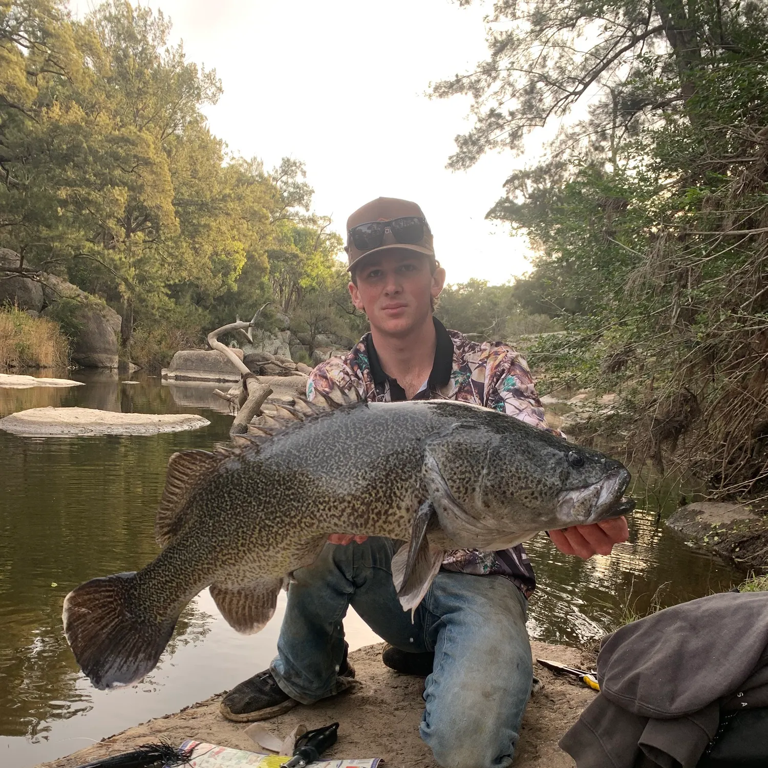 The most recent Murray cod catches on Fishbrain