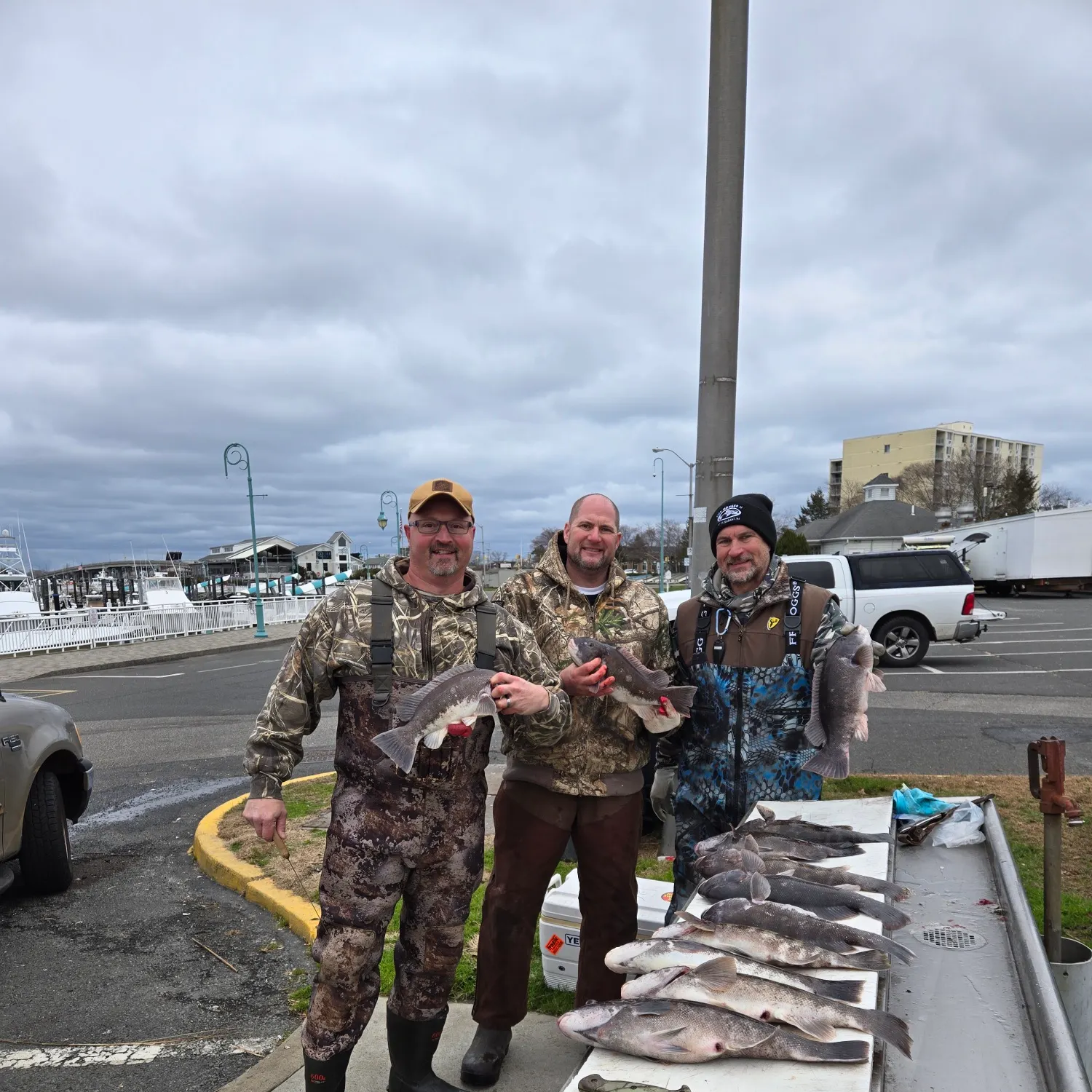 The most recent Tautog catches on Fishbrain