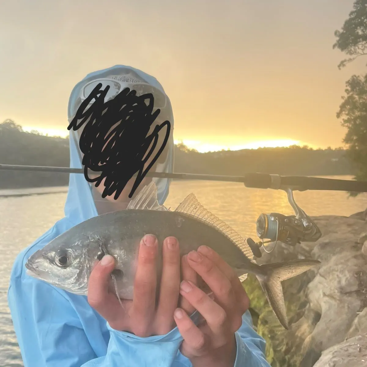 The most recent White trevally catches on Fishbrain