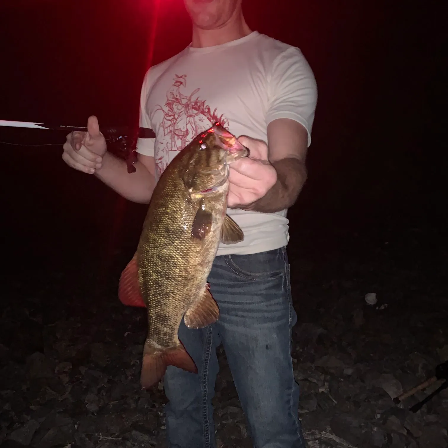 Smallmouth bass caught on Fishbrain