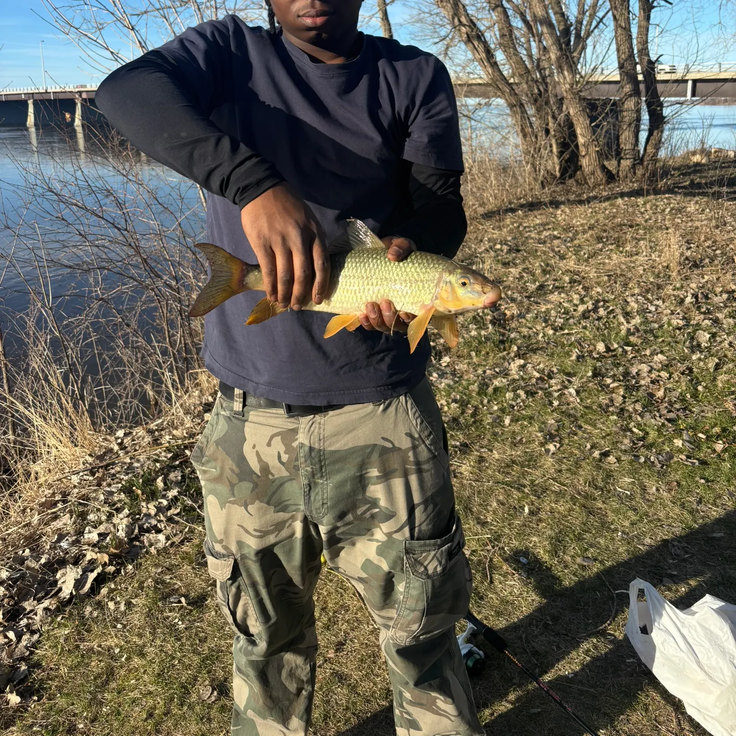 The most recent Shorthead redhorse catches on Fishbrain