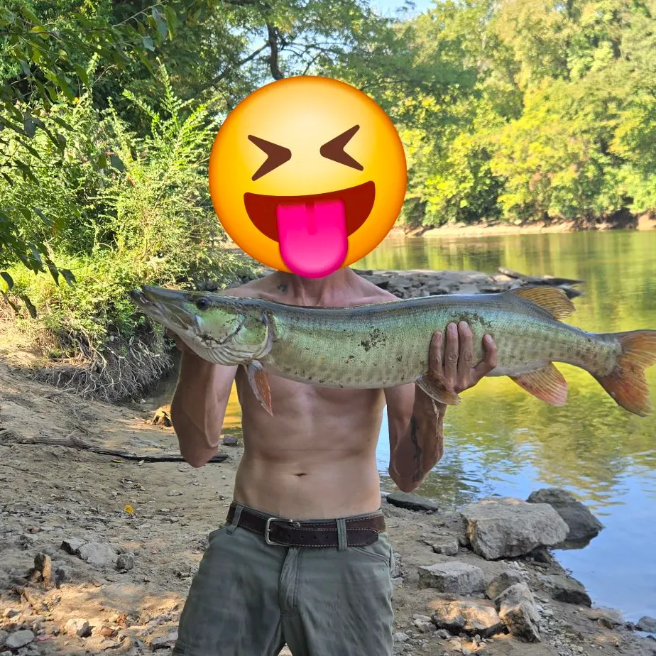 Muskie caught on Fishbrain