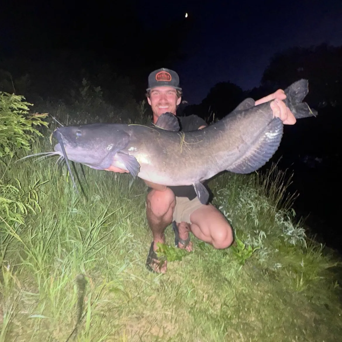 Blue catfish caught on Fishbrain