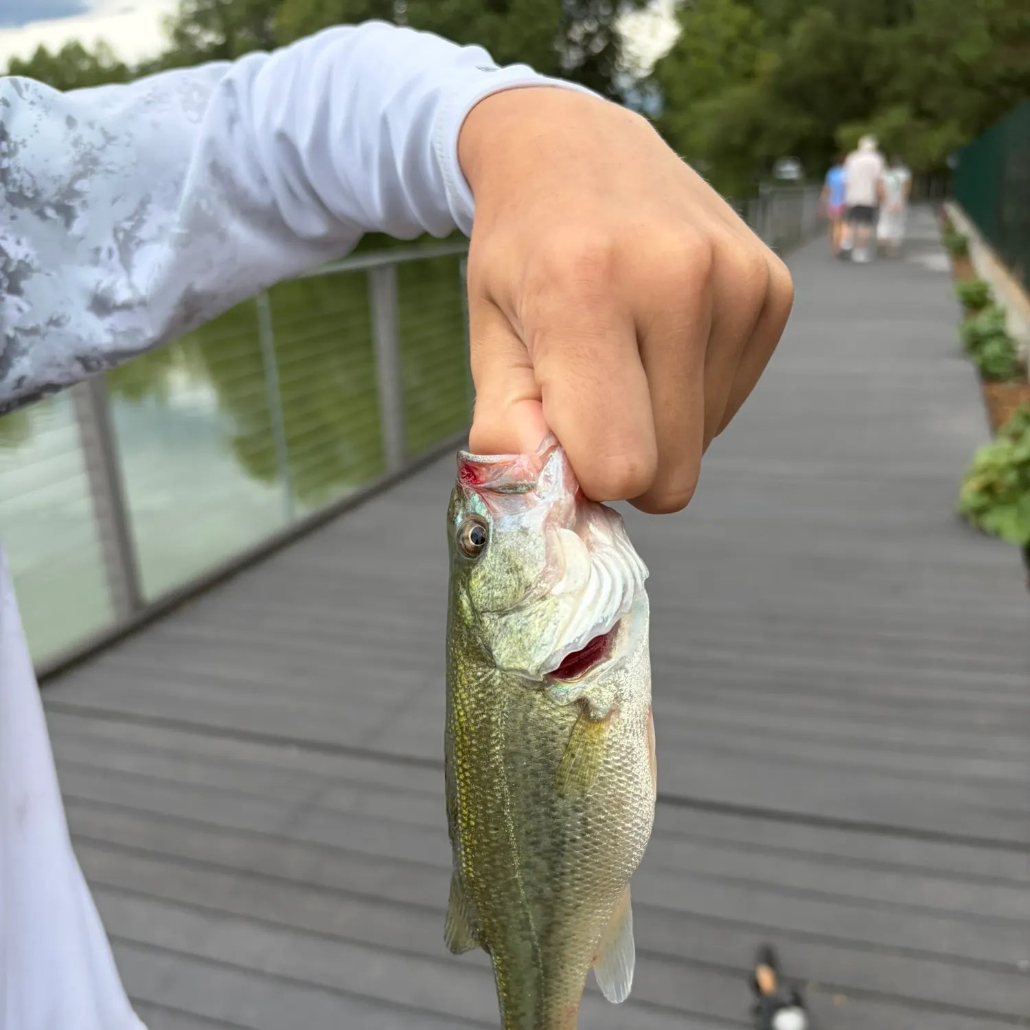 catch