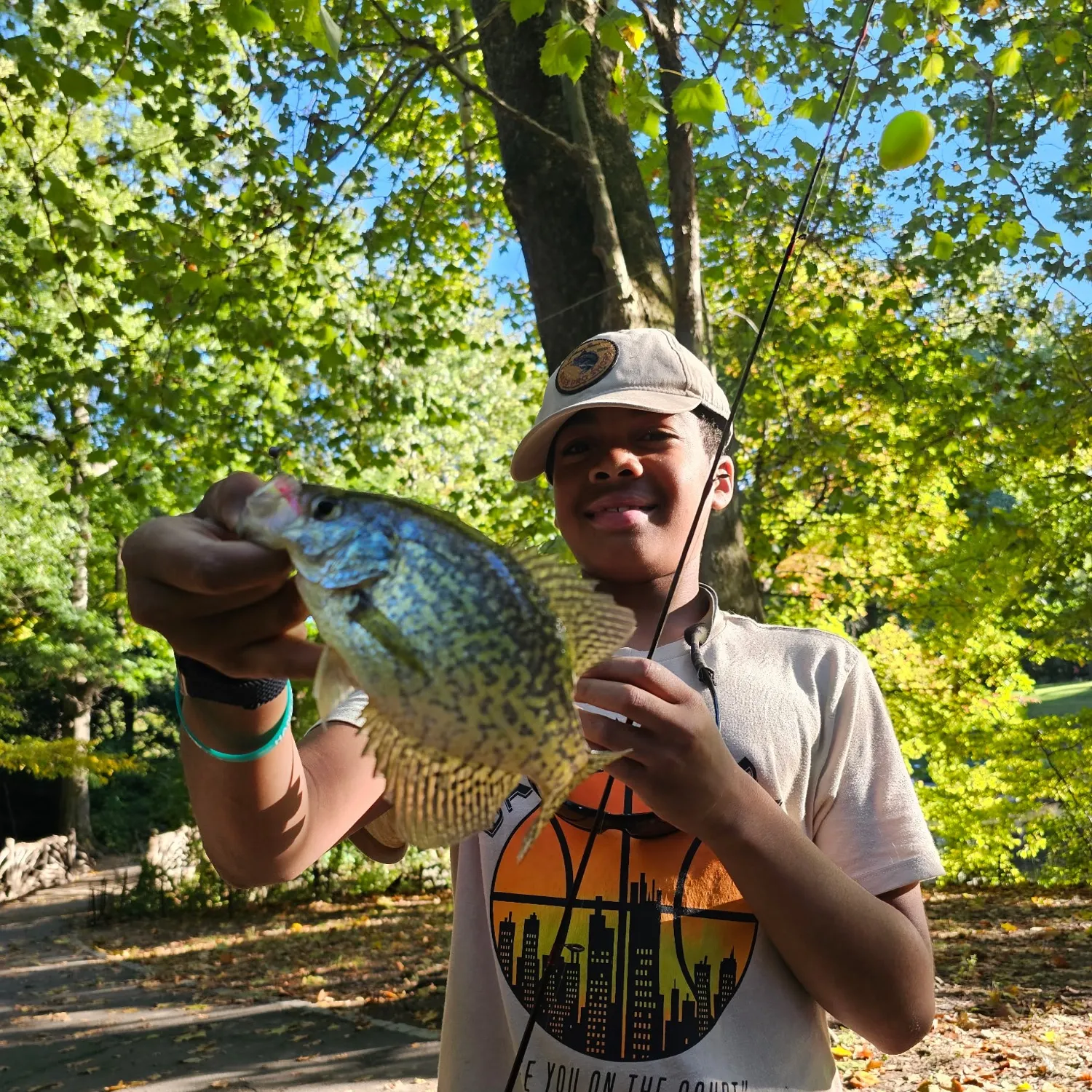 Black crappie caught on Fishbrain
