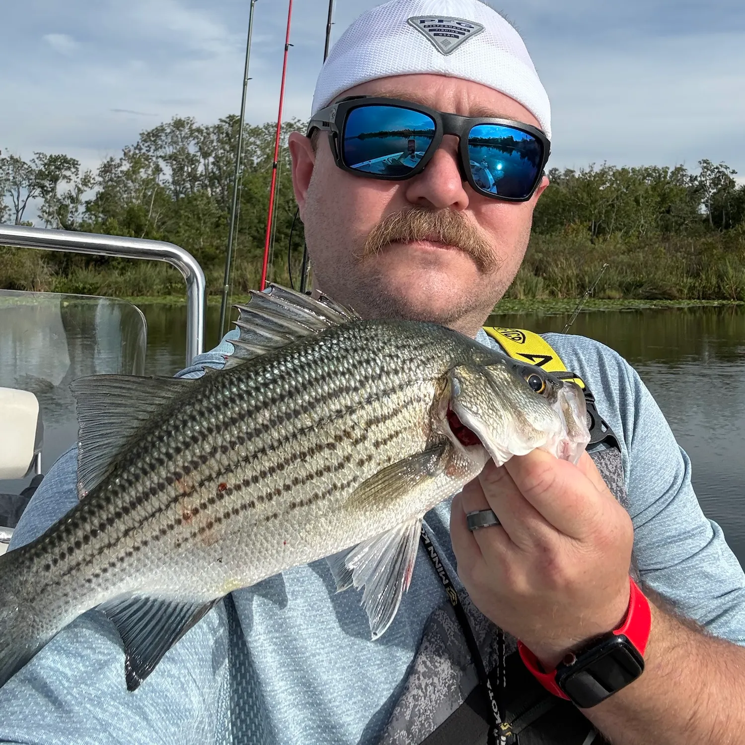 Fish caught on Fishbrain