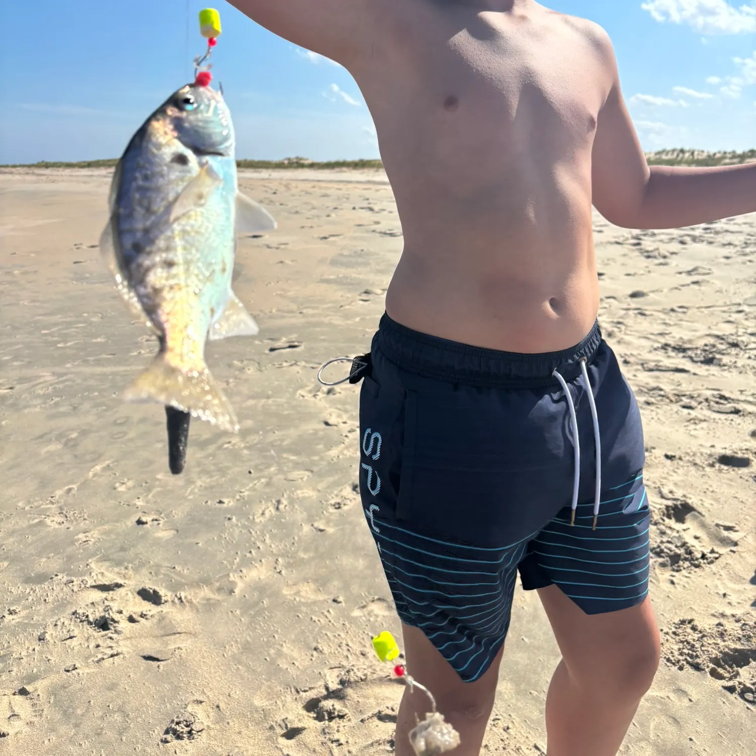 Spot croaker caught on Fishbrain