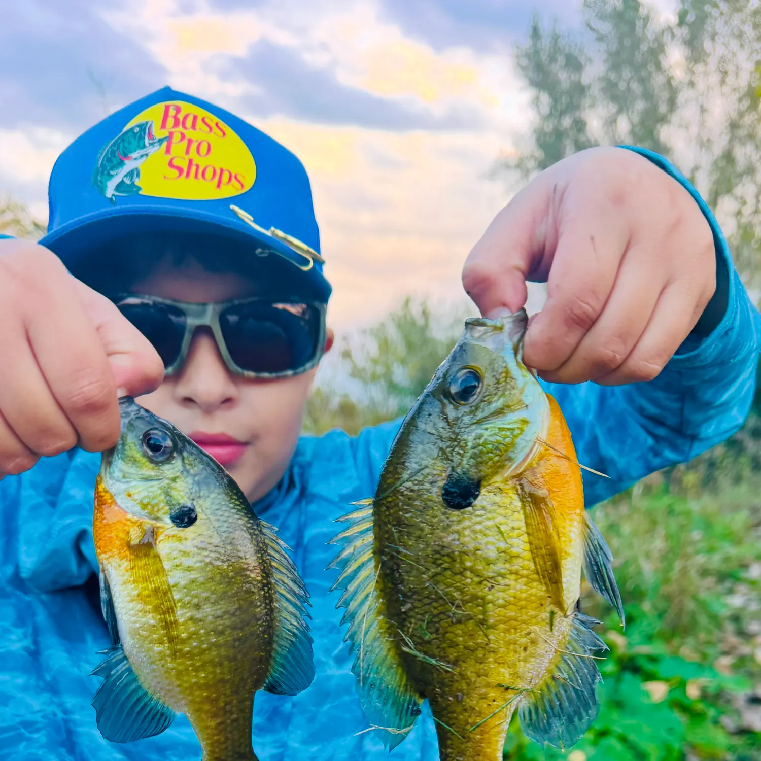 Bluegill caught on Fishbrain