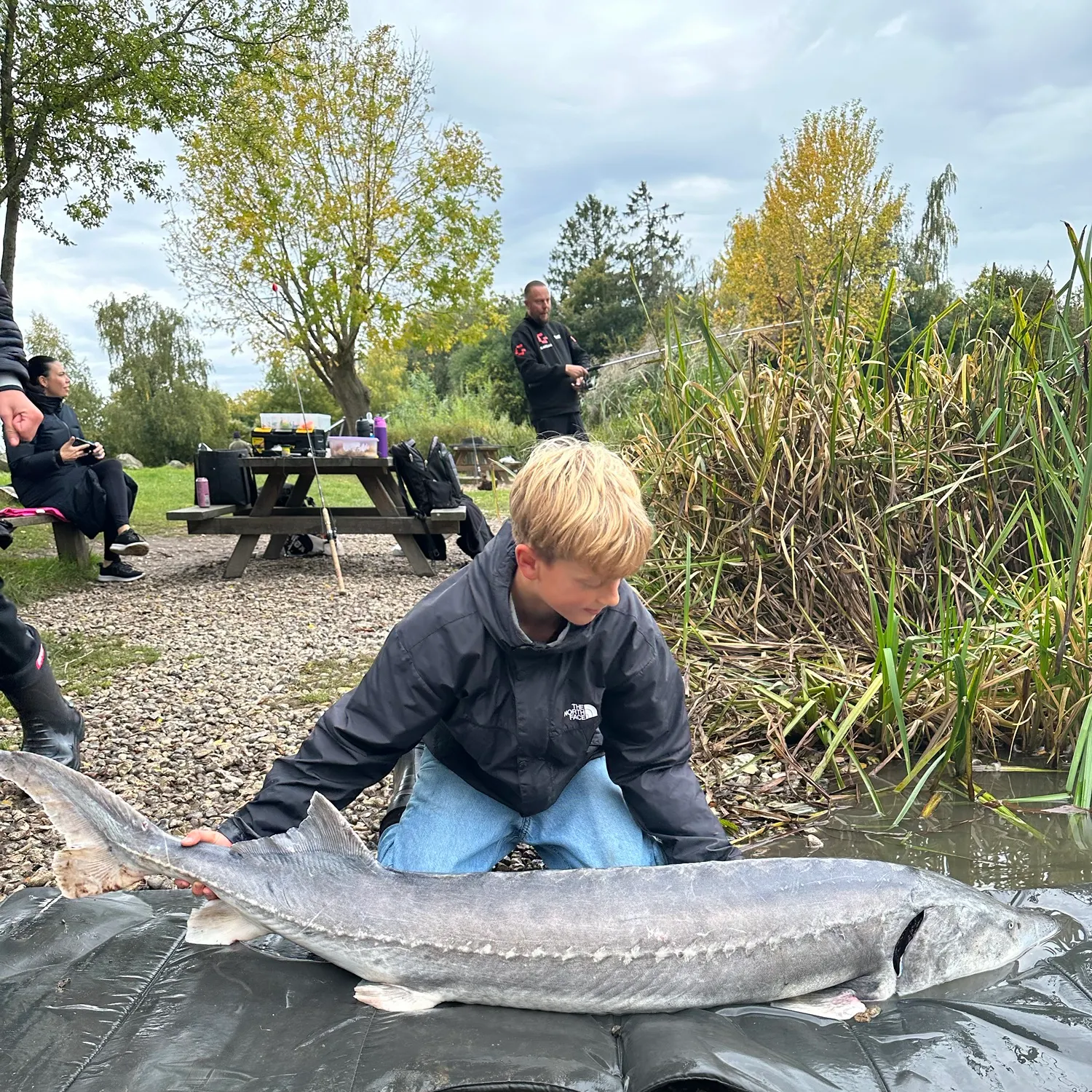 Beluga sturgeon caught on Fishbrain