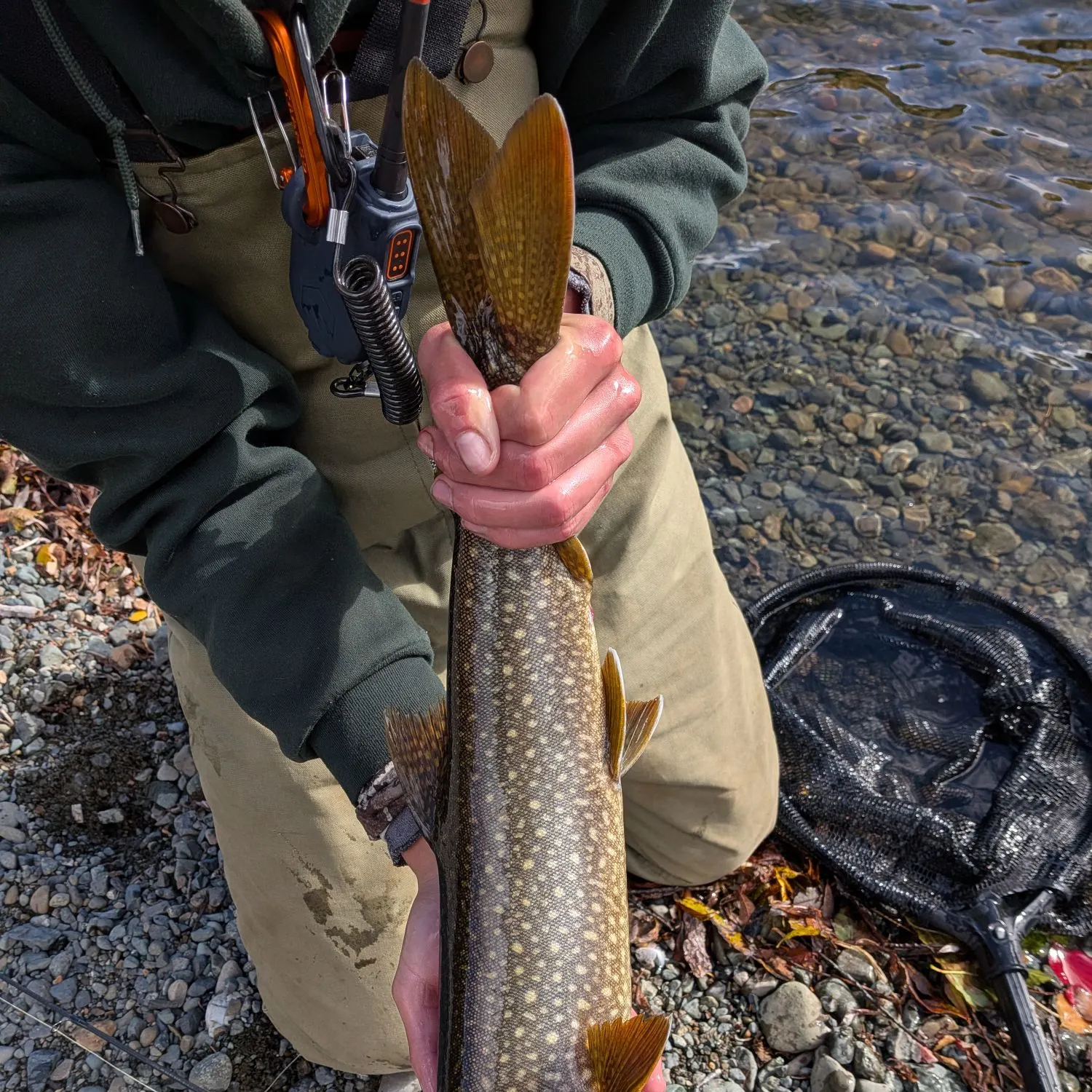 The most recent Lake char catches on Fishbrain