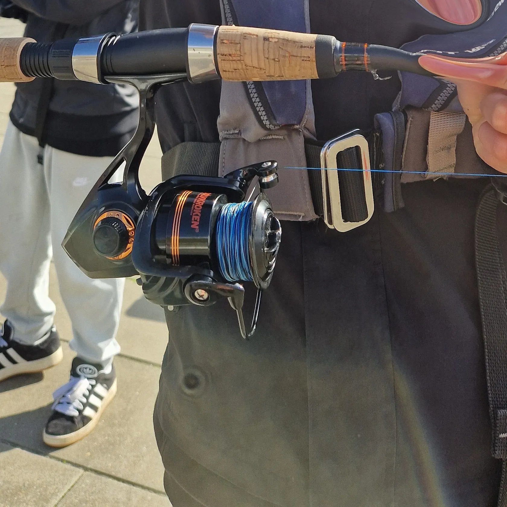 The most recent Atlantic rock crab catches on Fishbrain