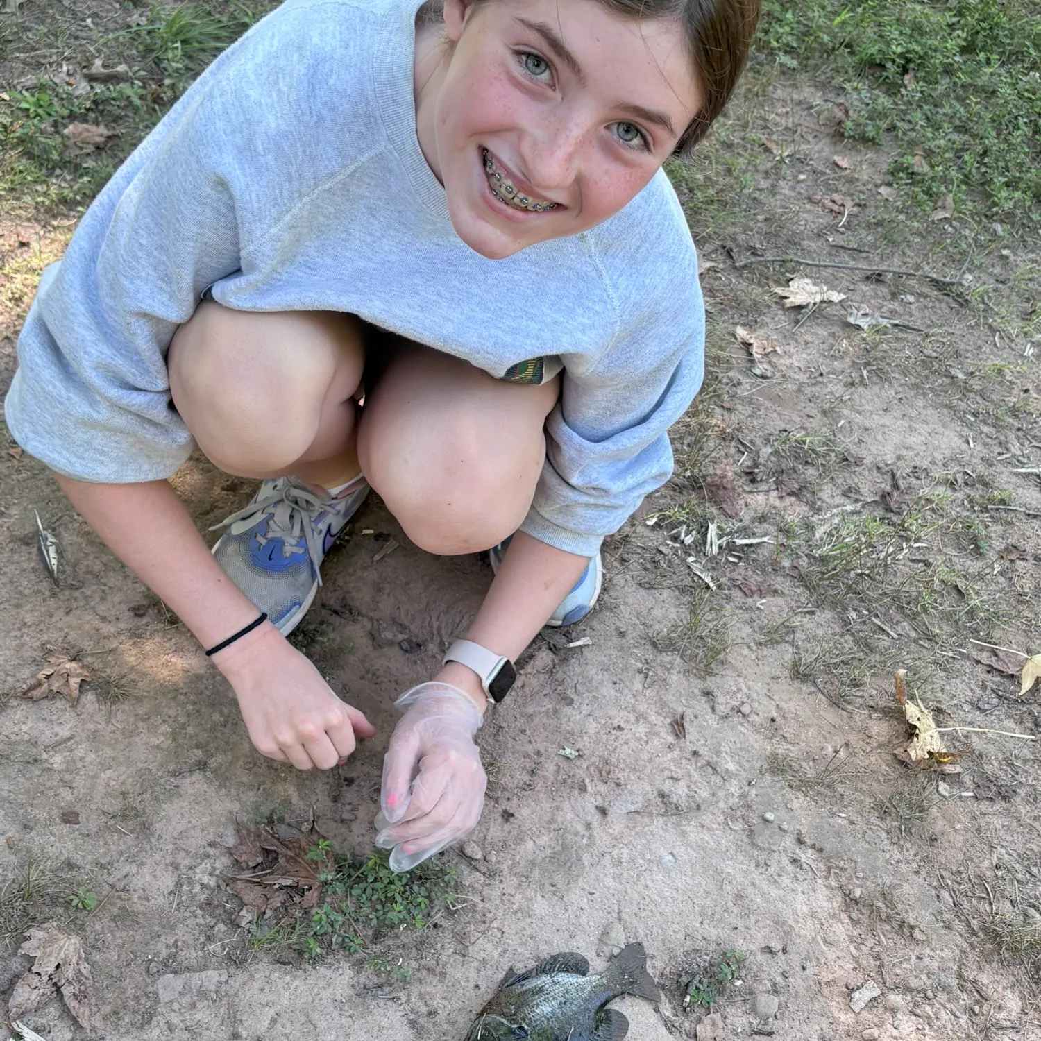Bluegill caught on Fishbrain