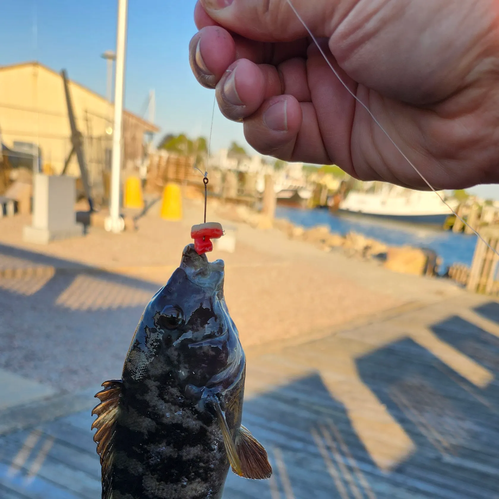 catch