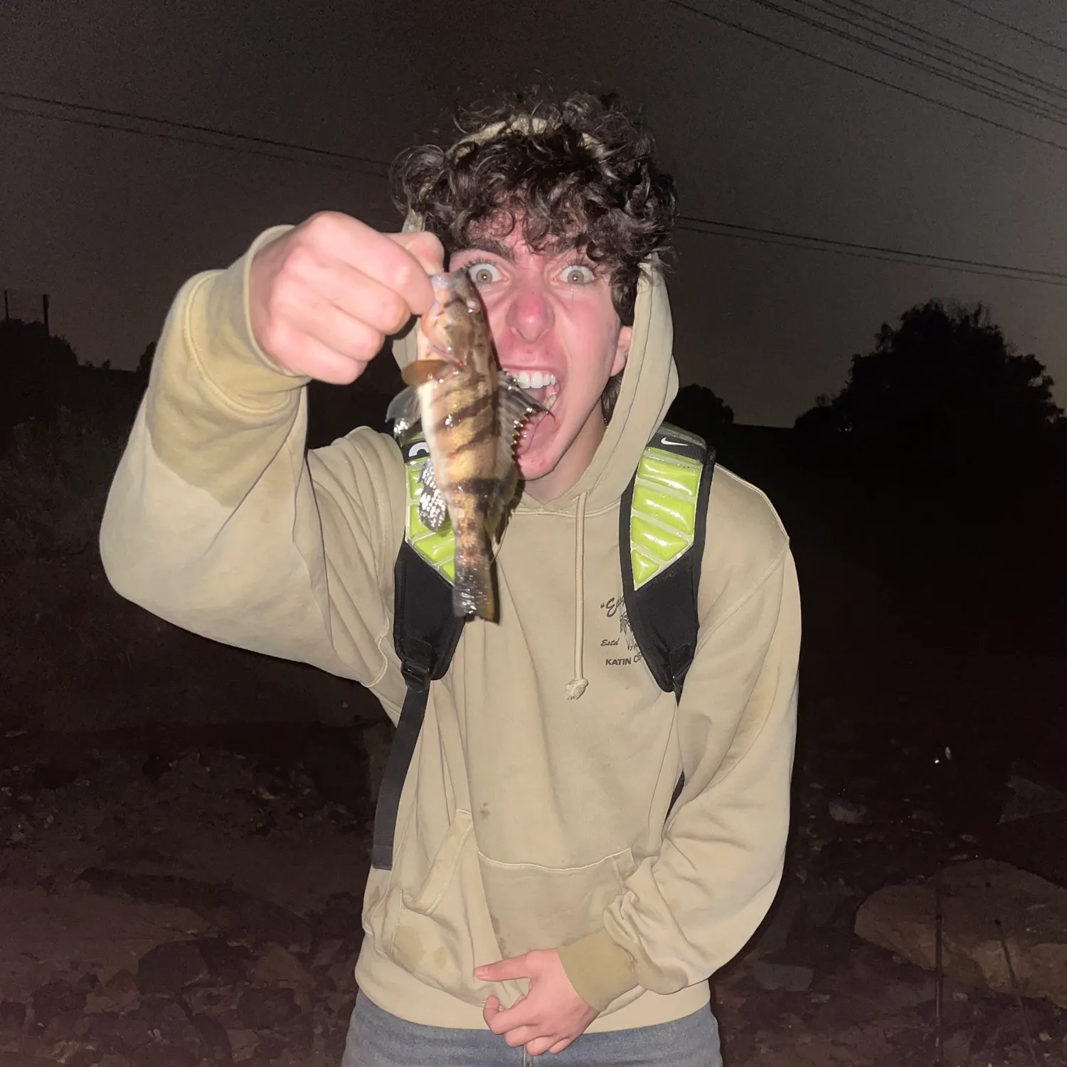 The most recent Spotted sand bass catches on Fishbrain