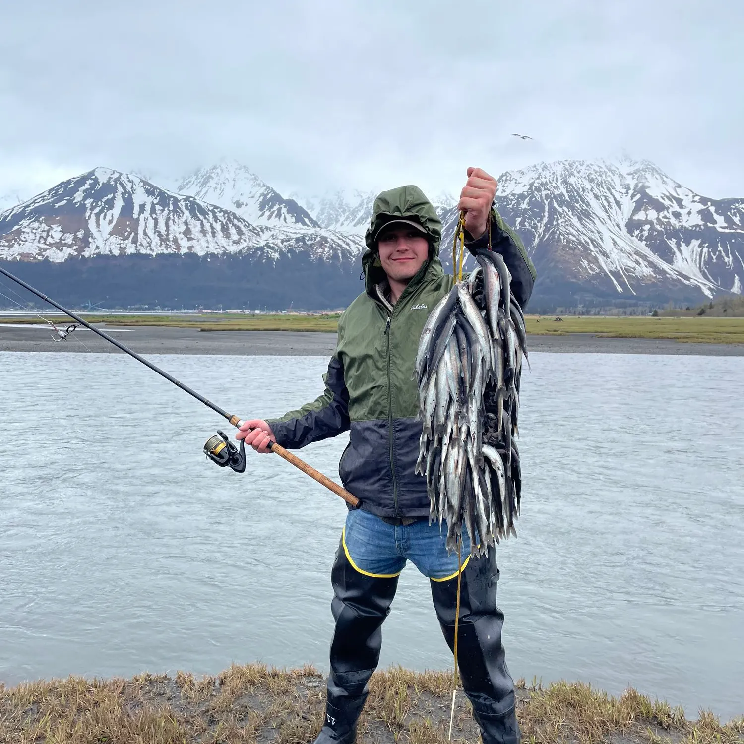 The most recent Eulachon smelt catches on Fishbrain