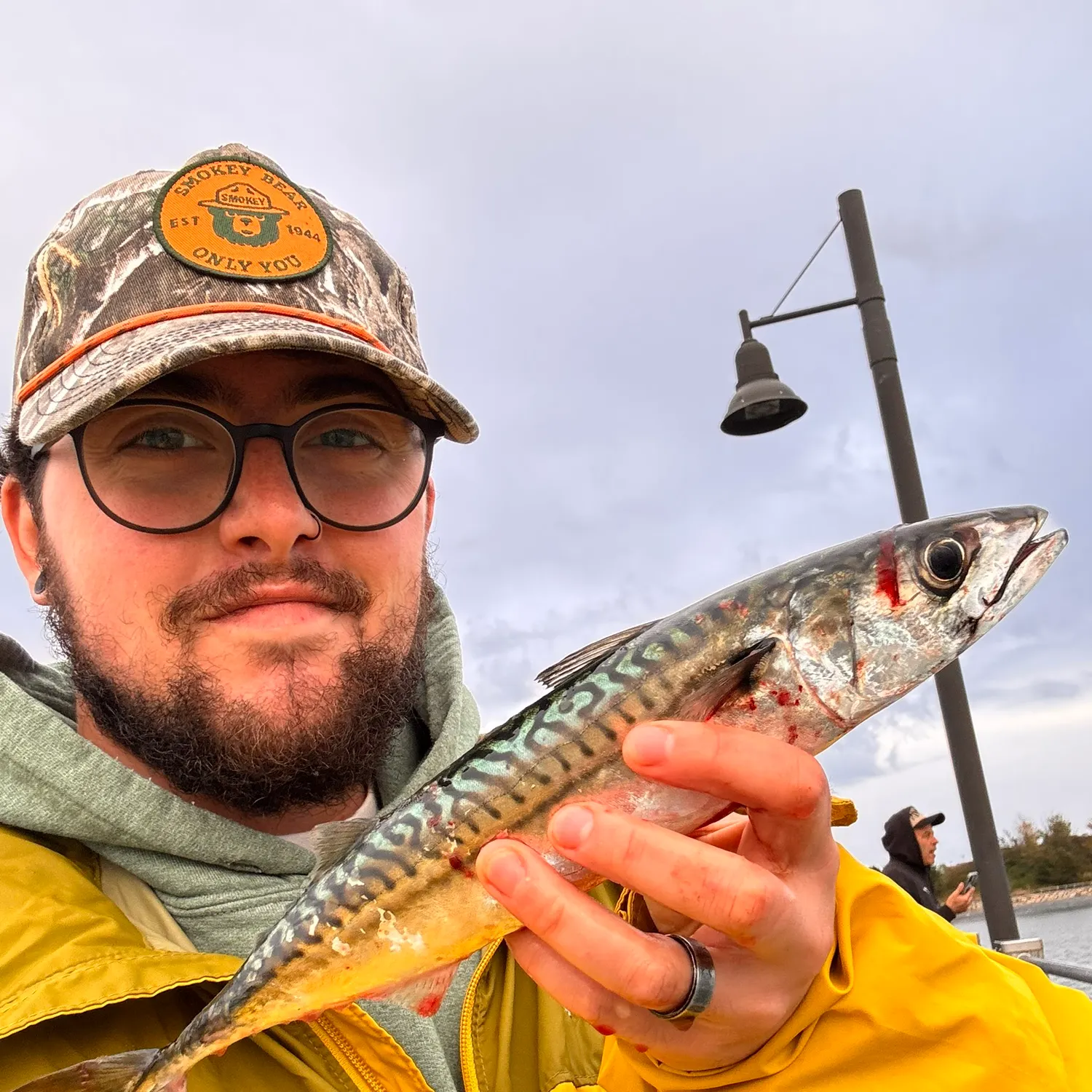 Atlantic mackerel caught on Fishbrain