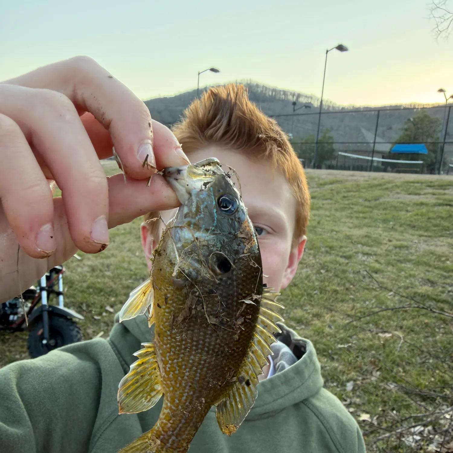 The most recent Green sunfish catches on Fishbrain