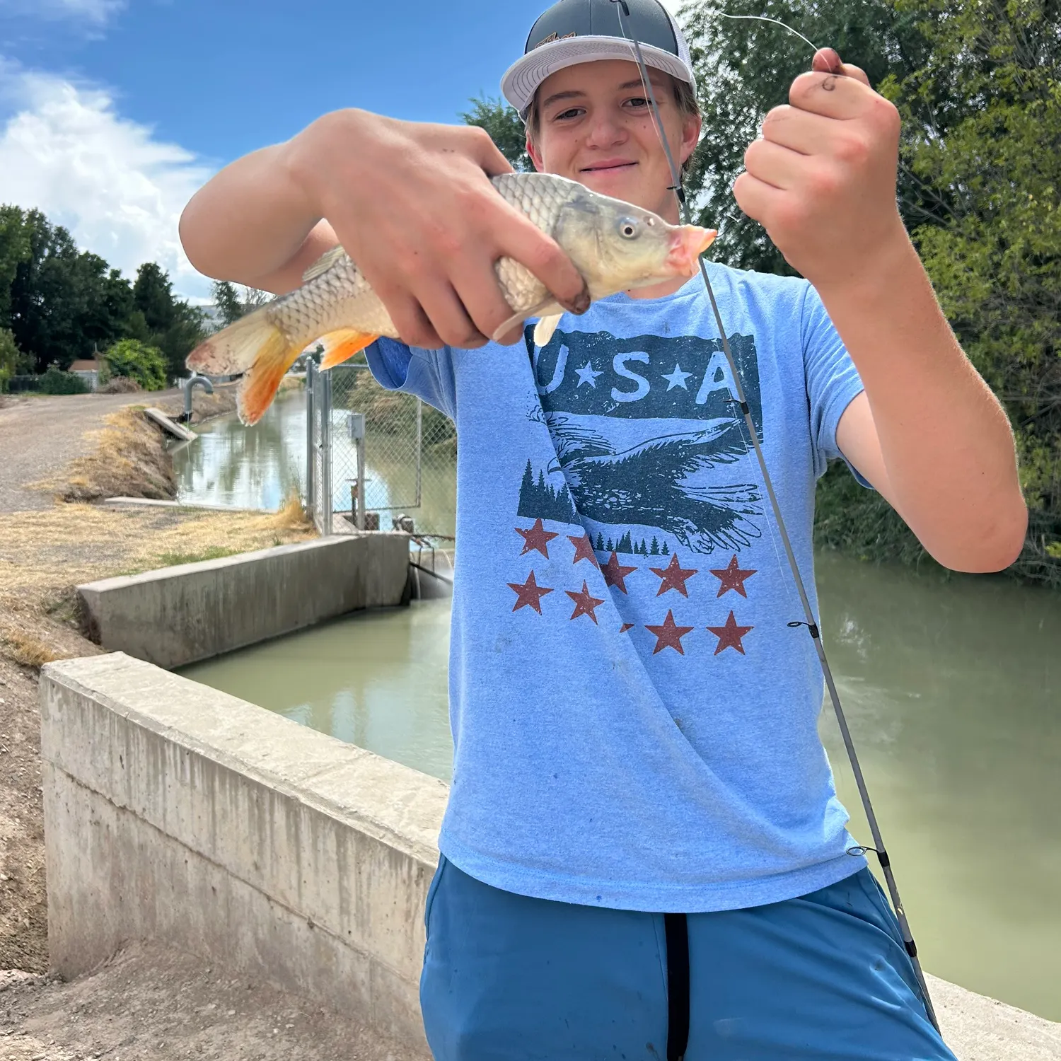 Common carp caught on Fishbrain