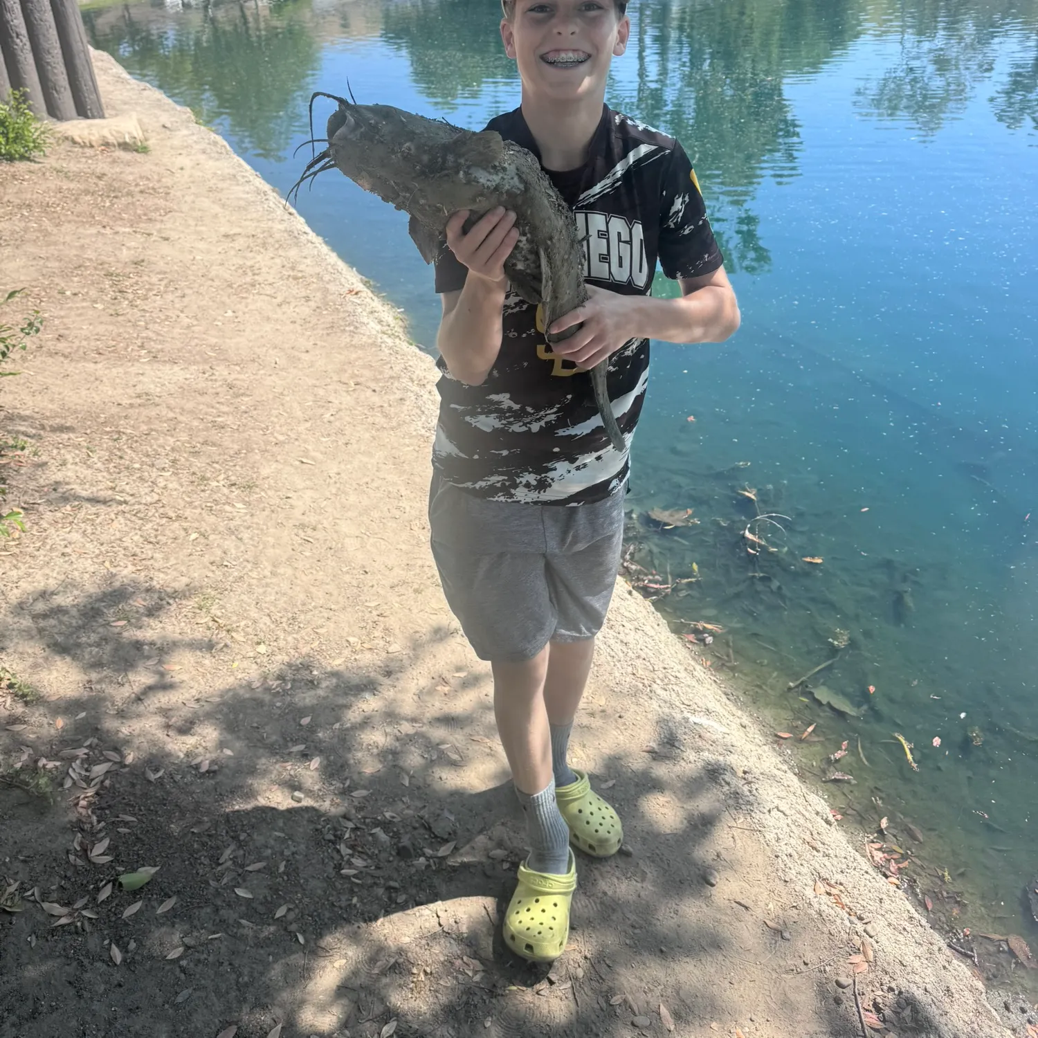 The most recent Amur catfish catches on Fishbrain