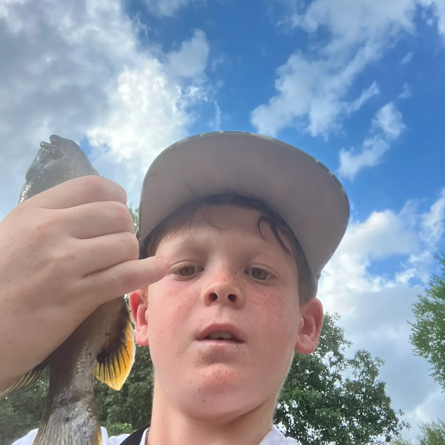 The most recent Green sunfish catches on Fishbrain