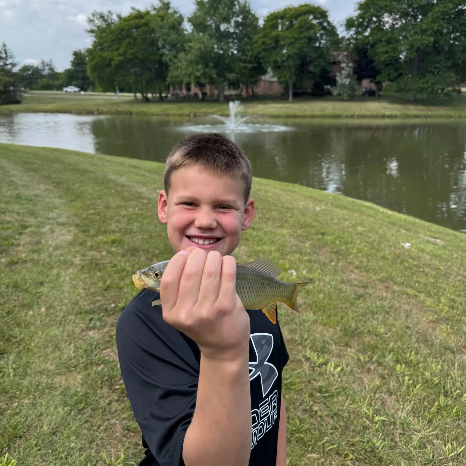 Common carp caught on Fishbrain
