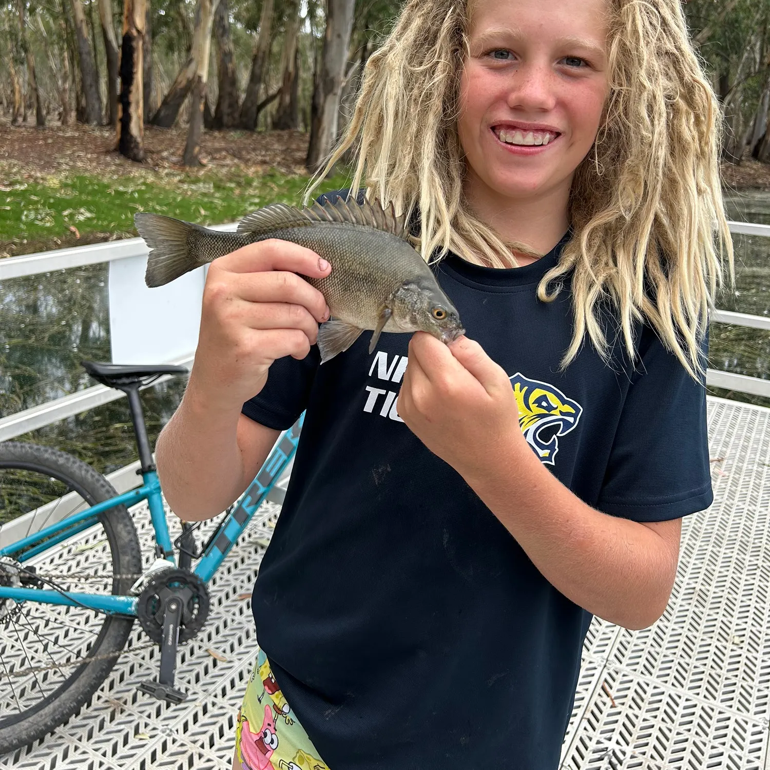 The most recent Bidyan perch catches on Fishbrain