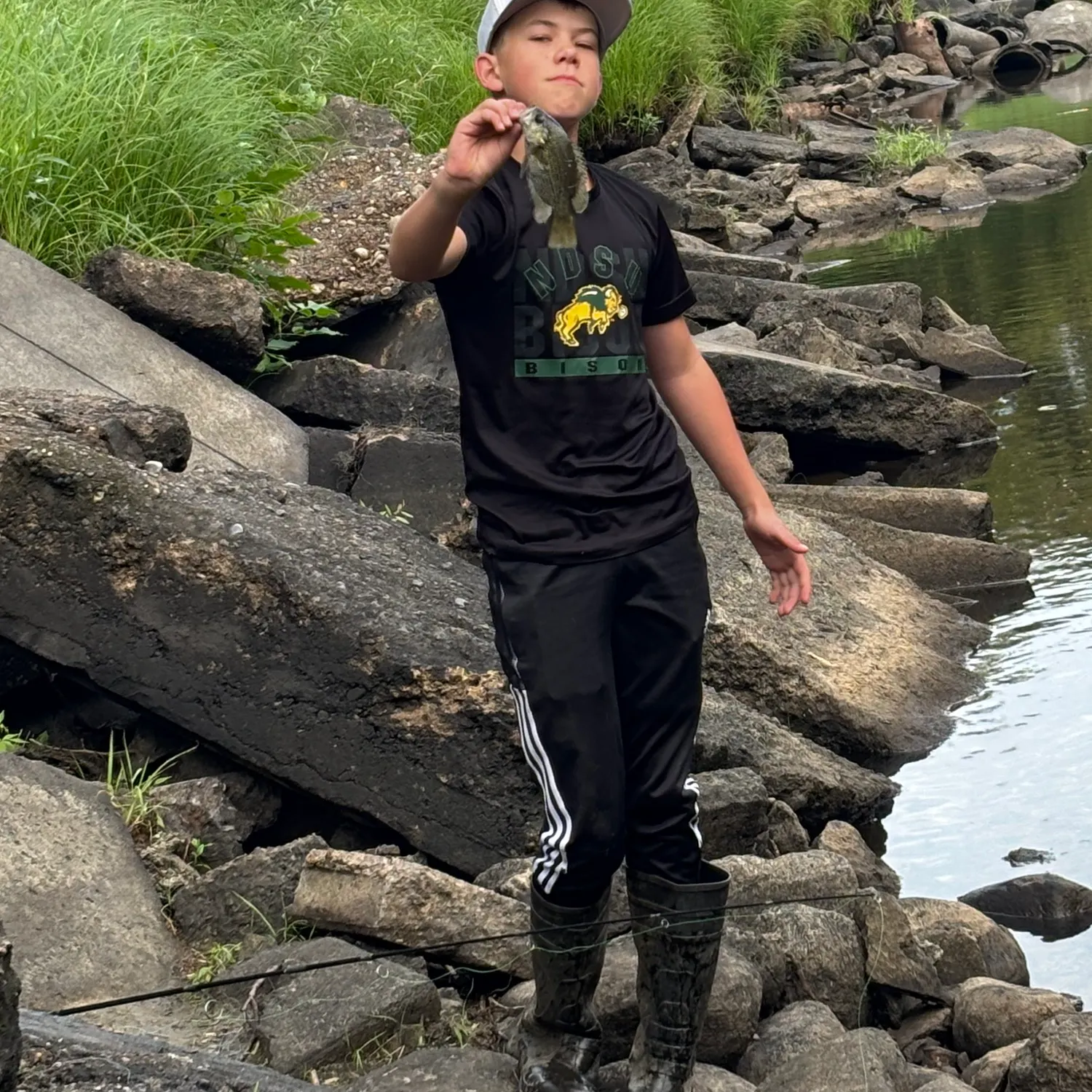 Rock bass caught on Fishbrain