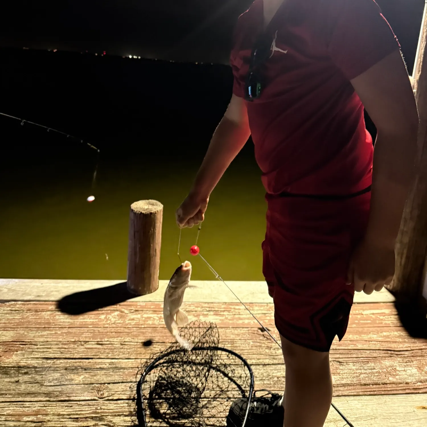 The most recent Blue catfish catches on Fishbrain