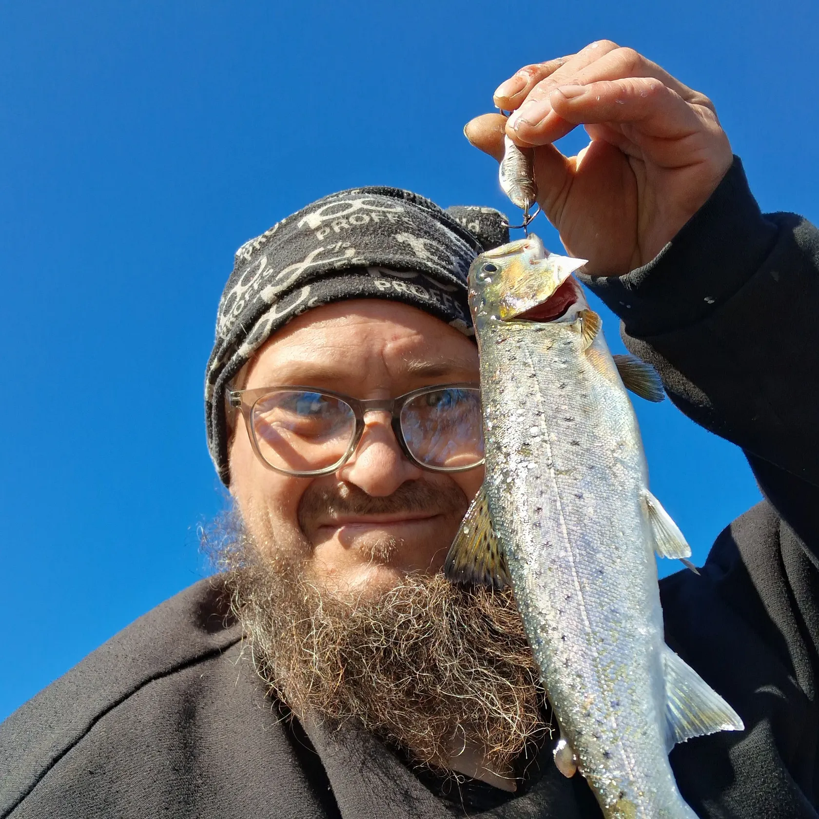 Sea trout caught on Fishbrain