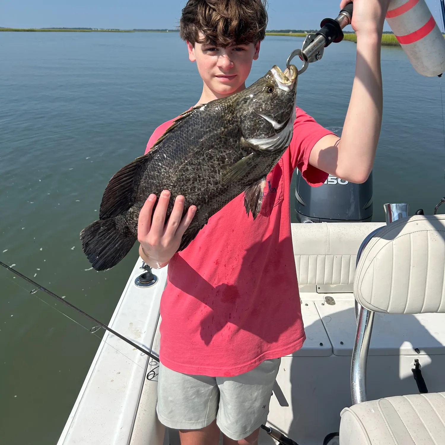 Atlantic tripletail caught on Fishbrain