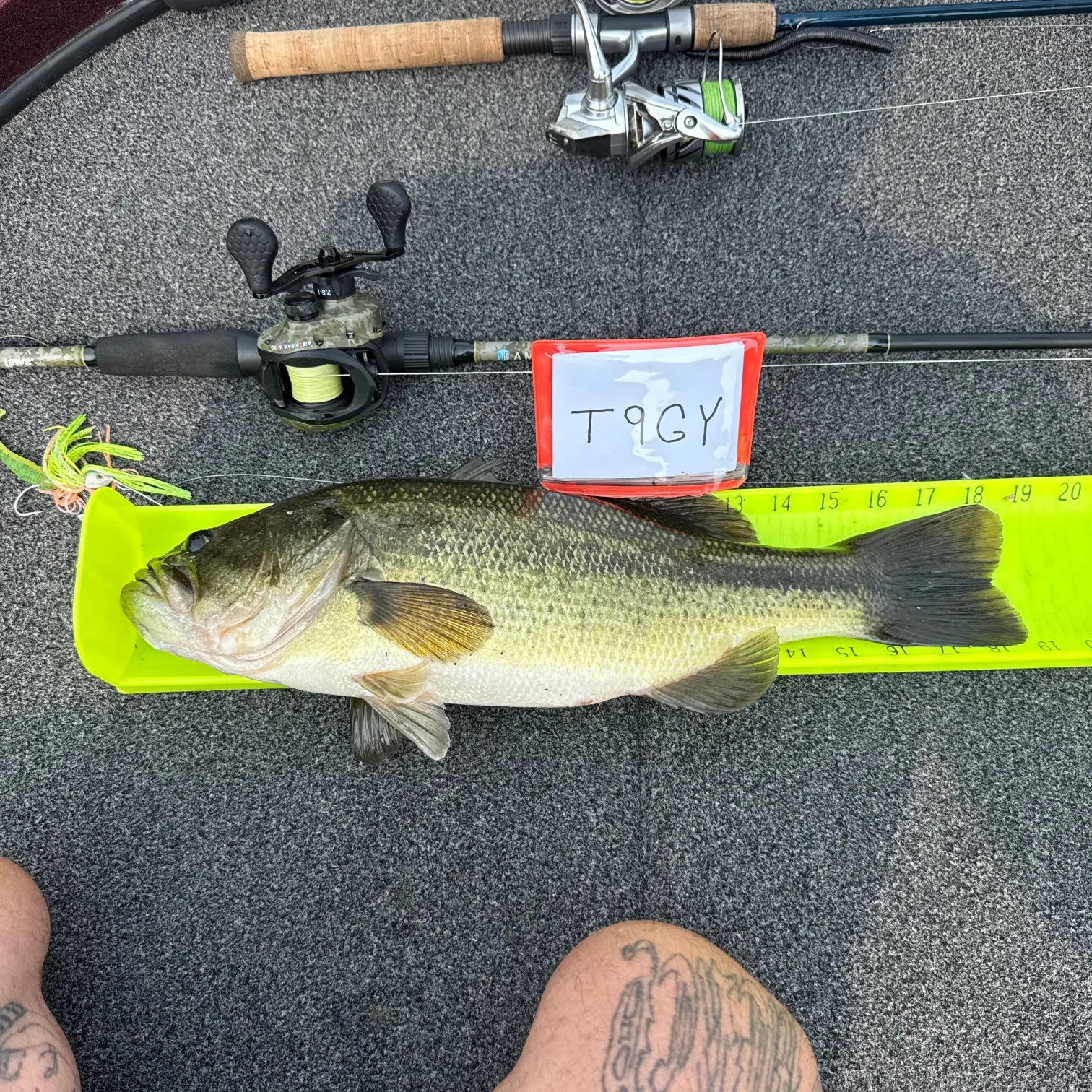 recently logged catches