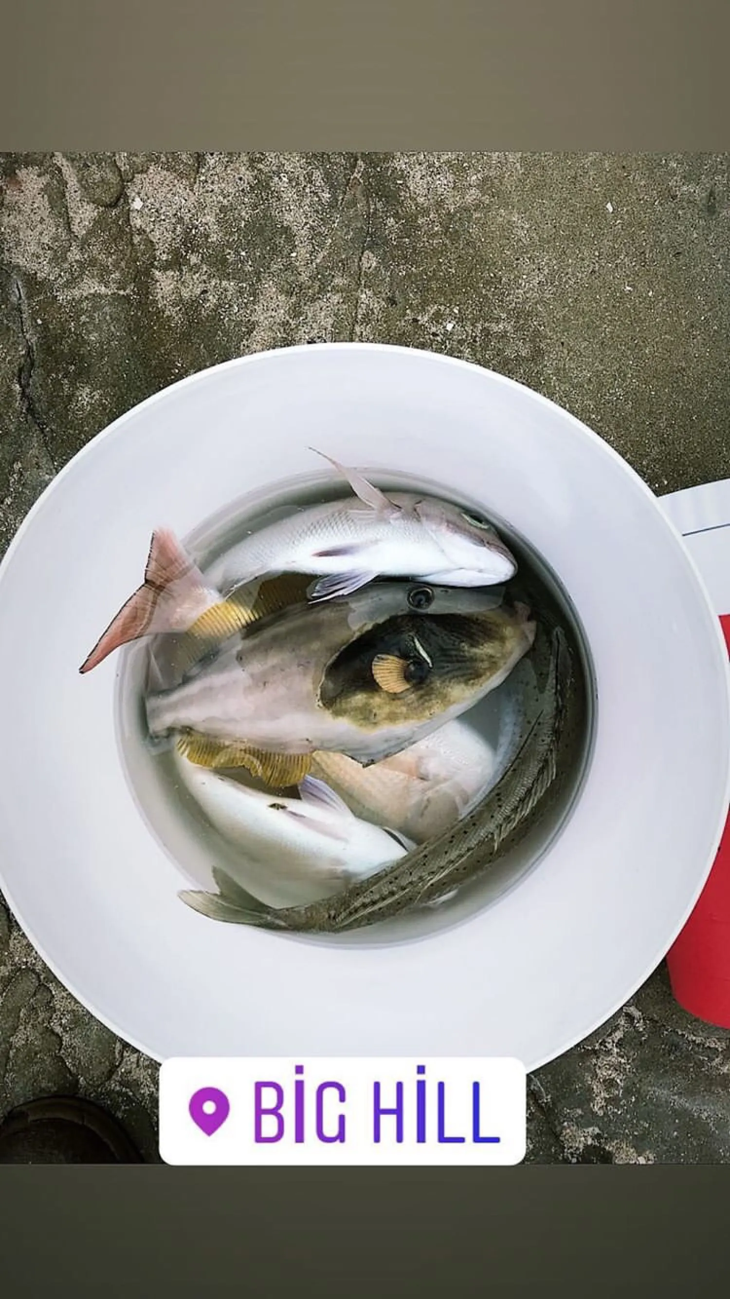 Post image from bilalgolec