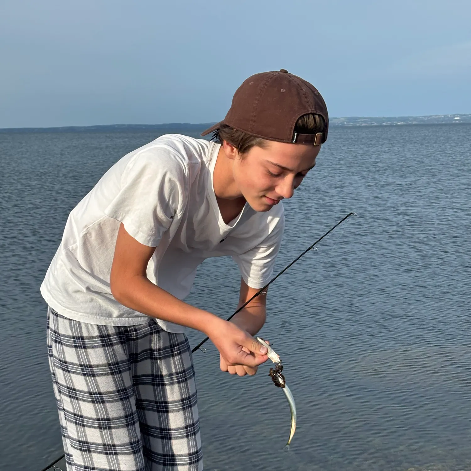 The most recent Atlantic horse mackerel catches on Fishbrain