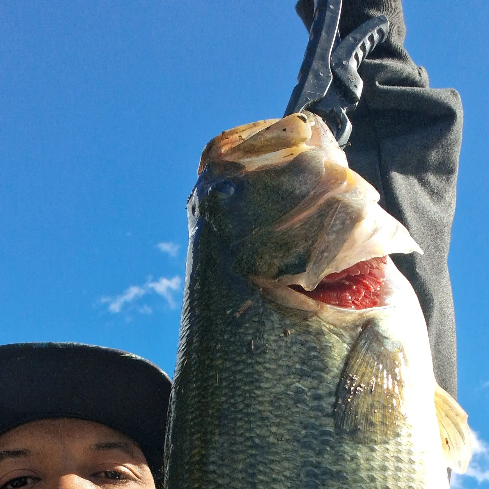 Smallmouth bass caught on Fishbrain