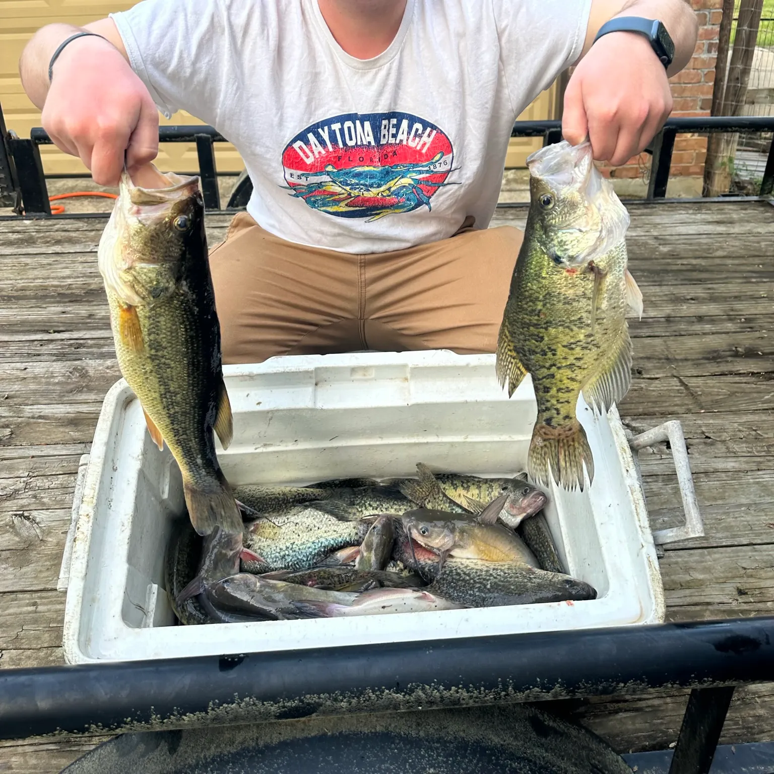 recently logged catches