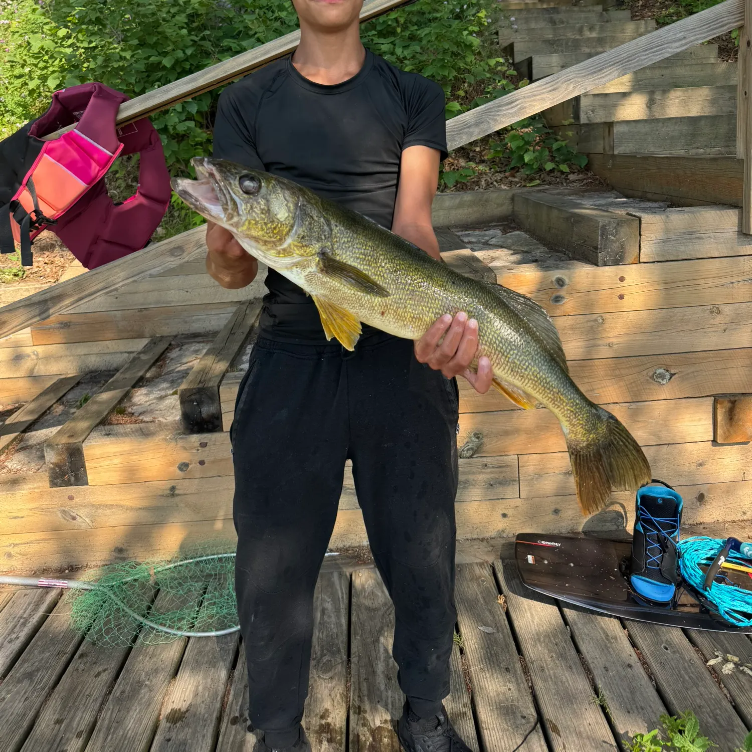 The most recent Walleye catches on Fishbrain