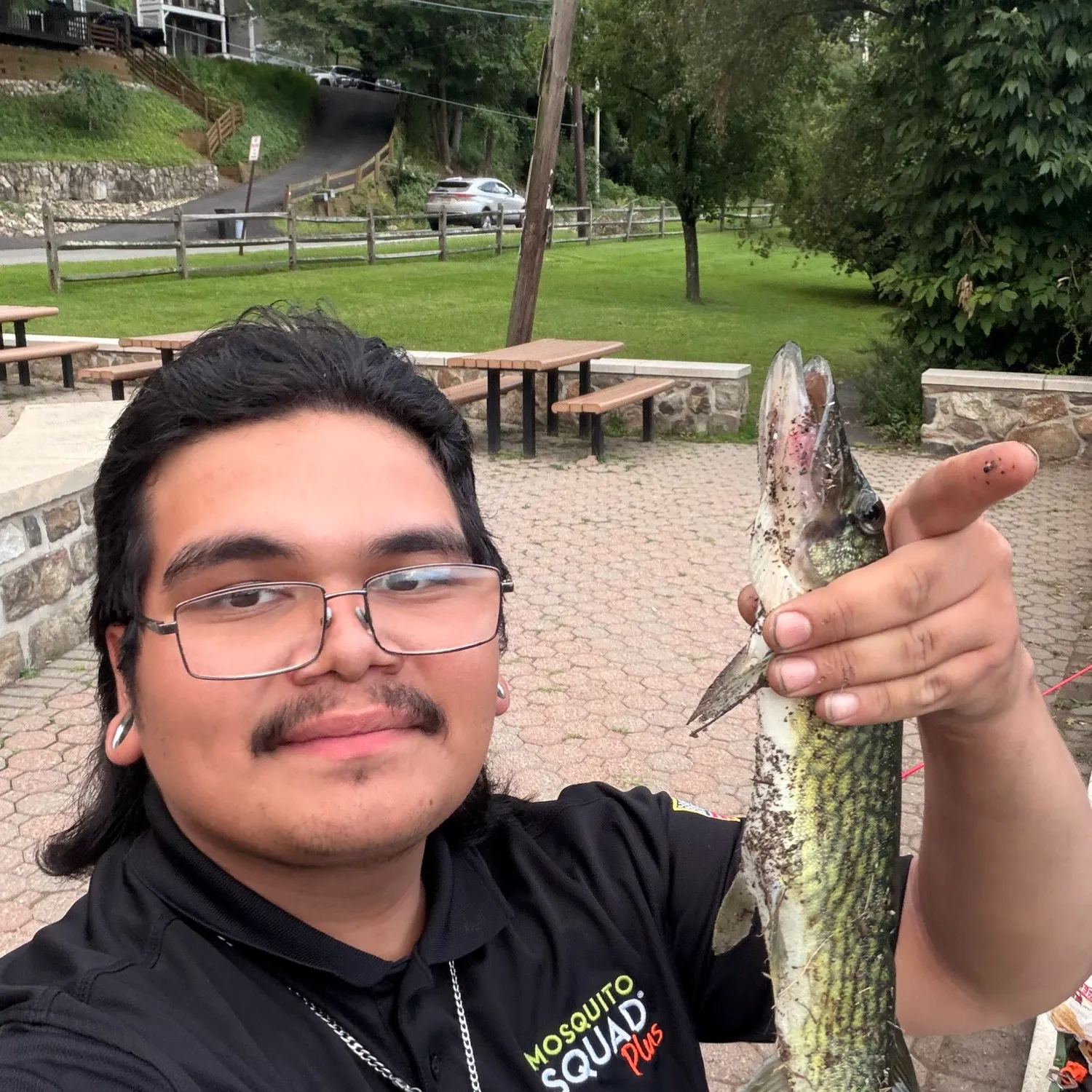 Chain pickerel caught on Fishbrain