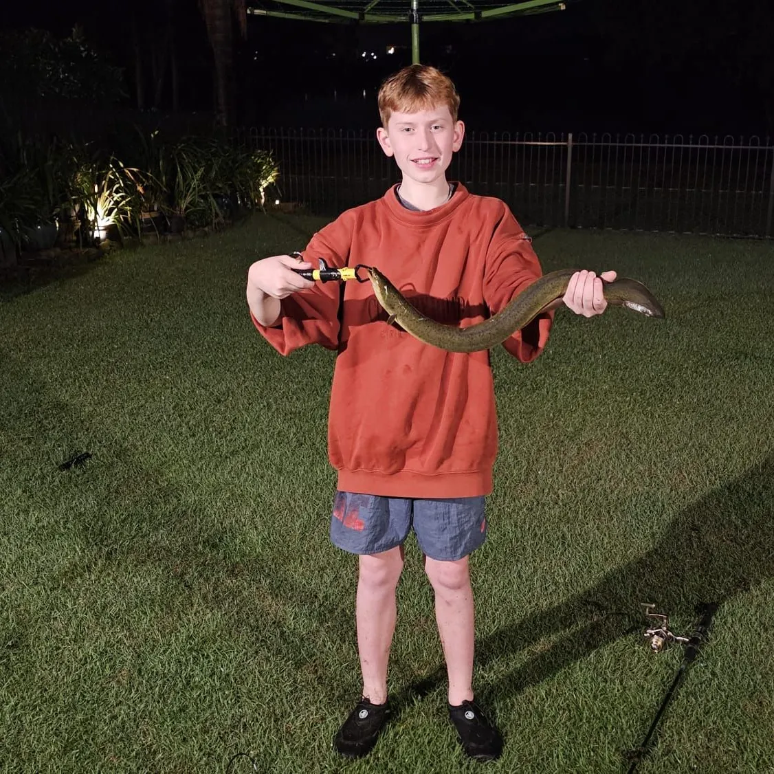 The most recent Shortfin eel catches on Fishbrain