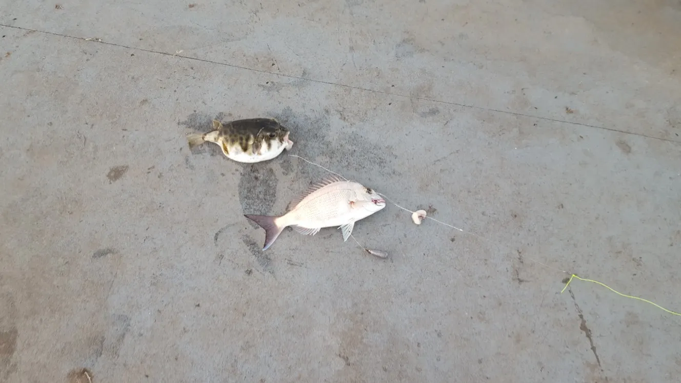 Post image from danadanalee