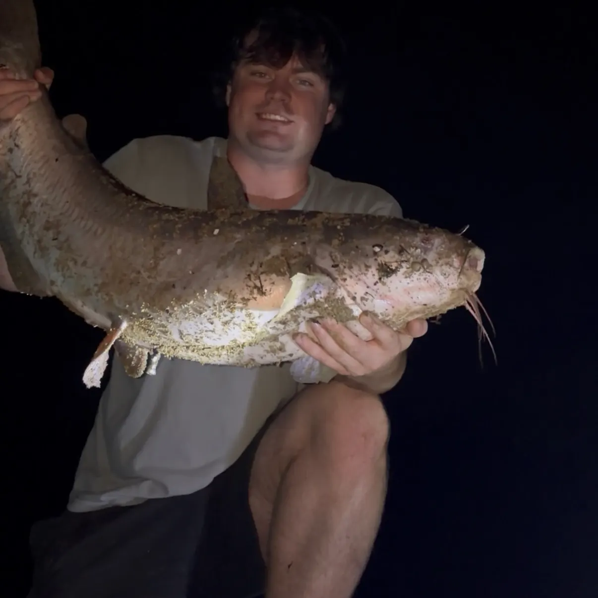 Blue catfish caught on Fishbrain
