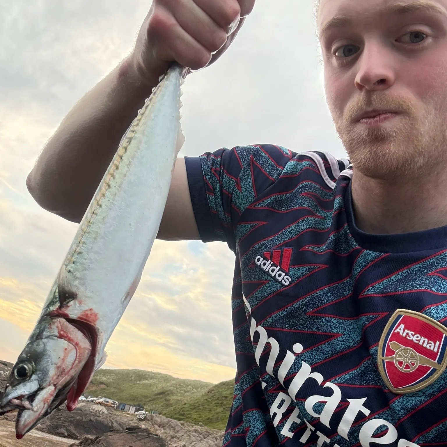 The most recent Atlantic mackerel catches on Fishbrain