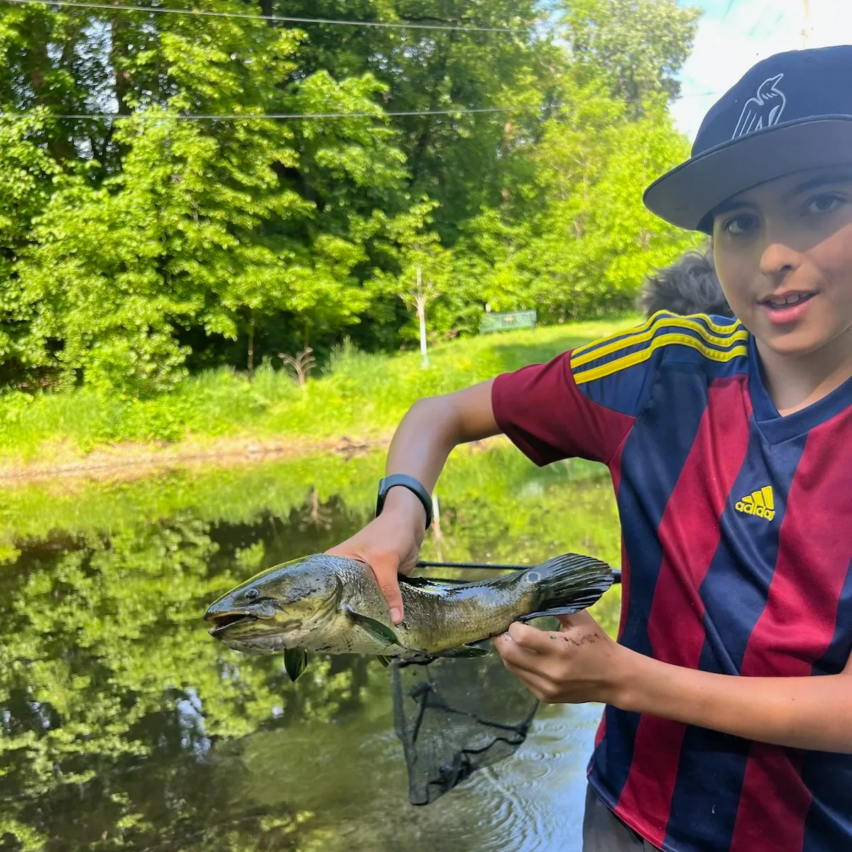 Eyetail bowfin caught on Fishbrain
