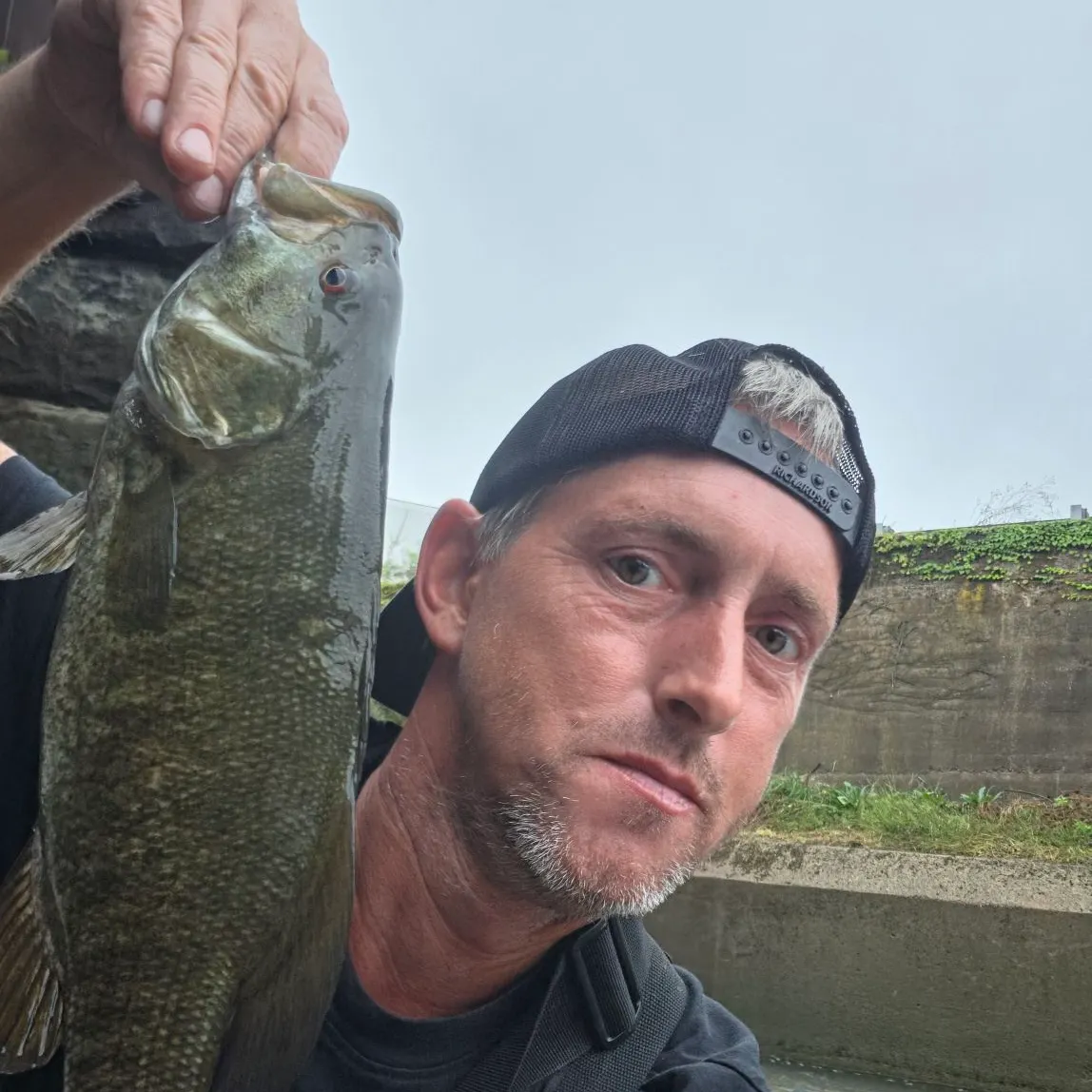 Smallmouth bass caught on Fishbrain