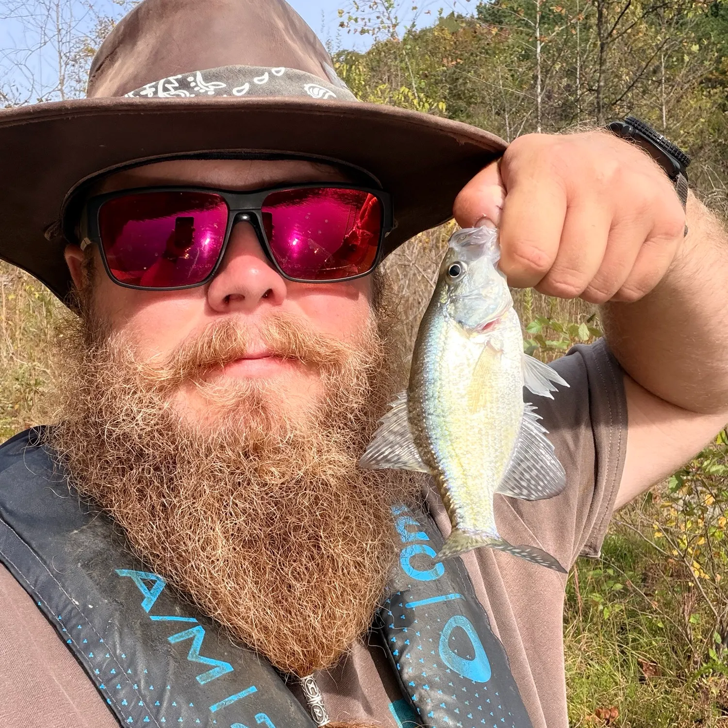 White crappie caught on Fishbrain