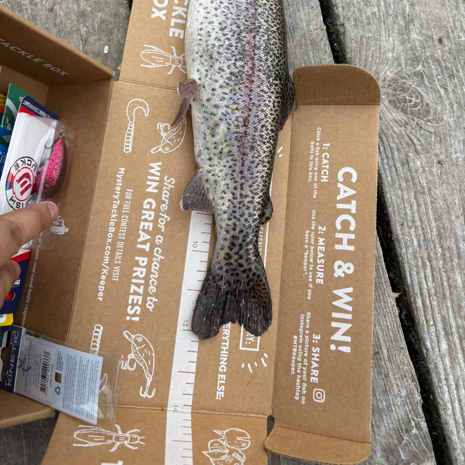 recently logged catches