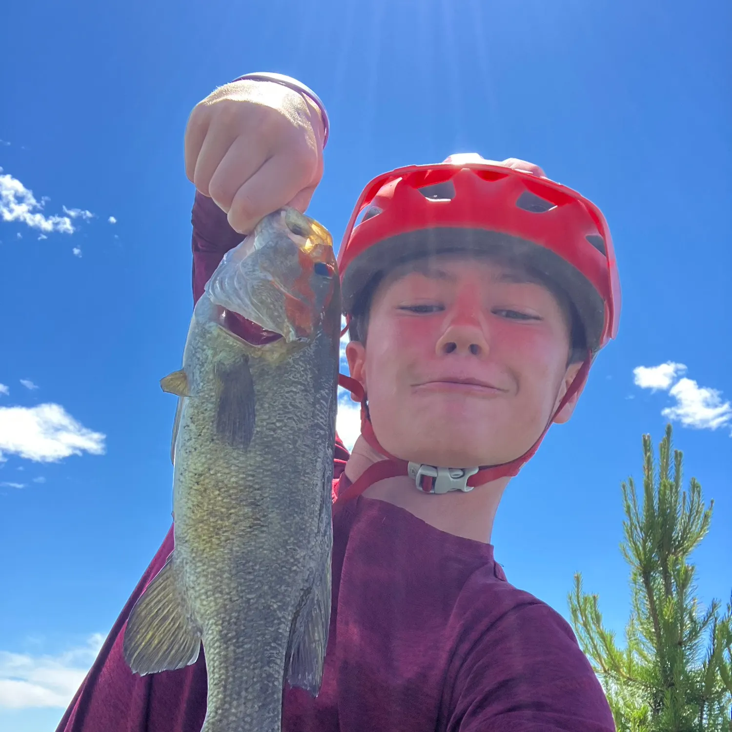 Smallmouth bass caught on Fishbrain